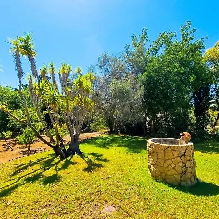 בית נופש Flh Alvor House With Garden And Pool אלבור